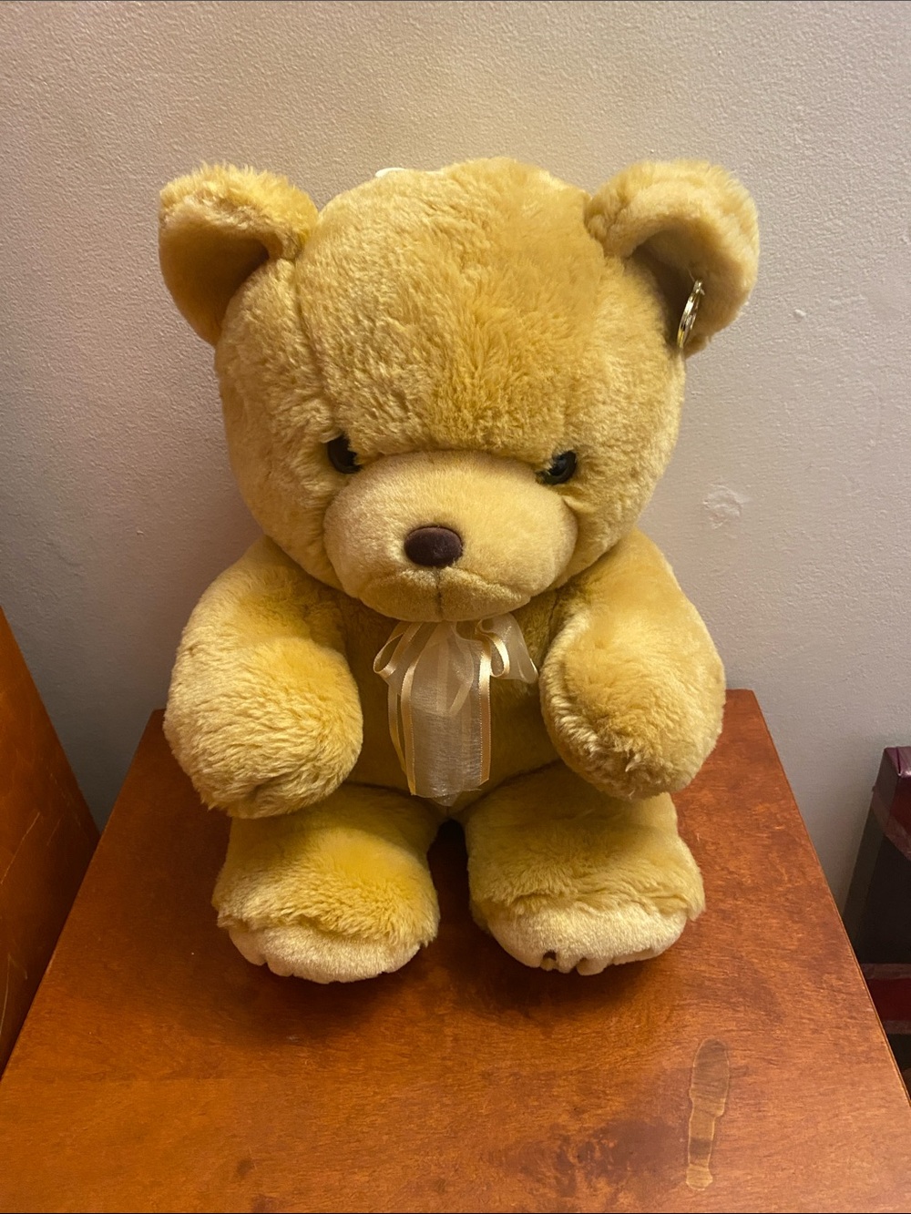 Plush Yellow Teddy Bear with Hug Me